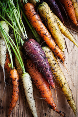 Poster - Rainbow carrots