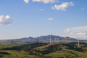 wind farm