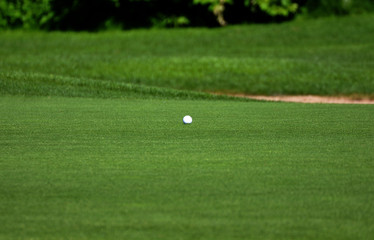  Golfball auf dem Grün