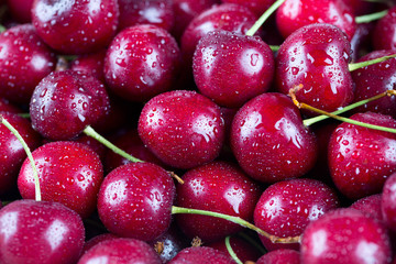 Wall Mural - wet cherries background