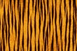 Fur Animal Textures, Tiger small