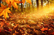 Lichtstrahlen auf Waldboden im Herbst