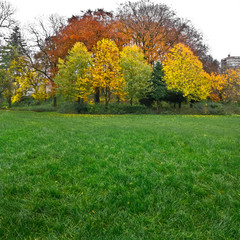 Wall Mural - Autumn Landscape.