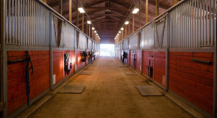 center path through horse paddock equestrian ranch stable