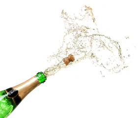 Wall Mural - Champagne splashes isolated on white