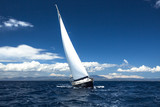 Fototapeta Sawanna - Yachting. Sailing in the wind through the waves.