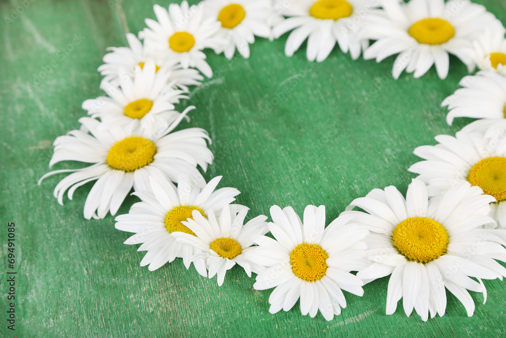 Chamomile wreath on green wooden background