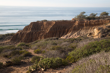 Wall Mural - Torrey Pines State Natural Reserve