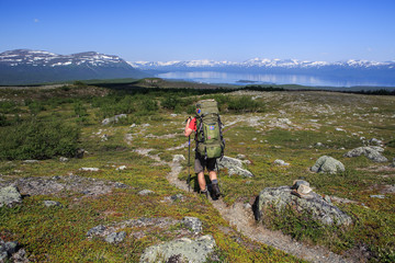 Wall Mural - hiking in sweden