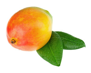 Wall Mural - Fresh mango fruit with green leaves isolated on white background