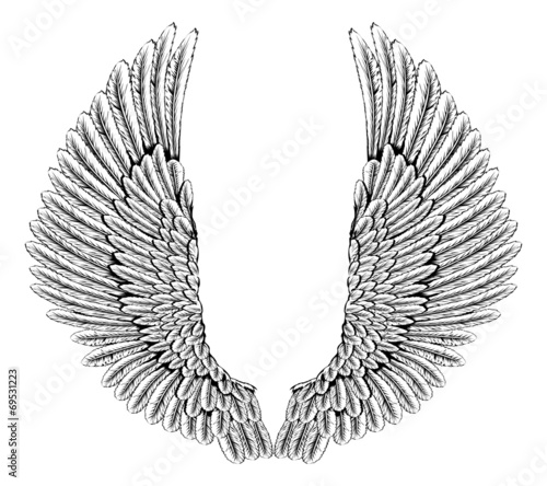 Eagle or angel wings