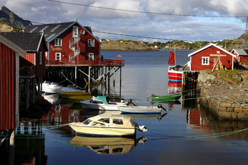 Canvas Print - norvegia isole lofoten