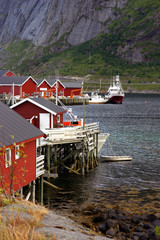 Canvas Print - norvegia isole lofoten