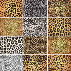 Animal skin fur vector pack leopard zebra