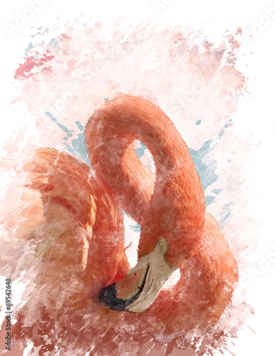 Nowoczesny obraz na płótnie Watercolor Image Of Flamingo Bird