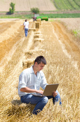 Canvas Print - Harvesting