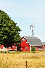 Farm with Windmill