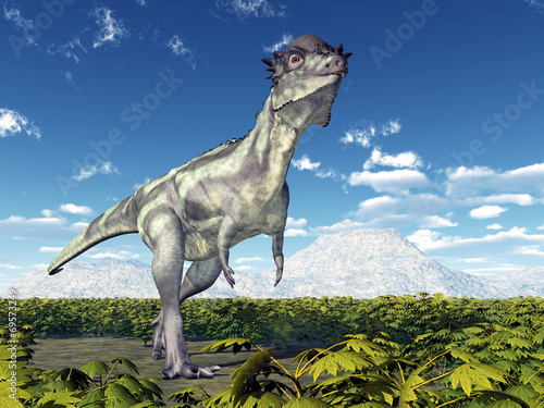Fototapeta dla dzieci Dinosaur Pachycephalosaurus