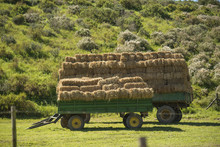 Trailer With Hay Bales
