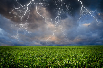 Wall Mural - Thunderstorm with lightning in green meadow