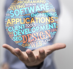 software