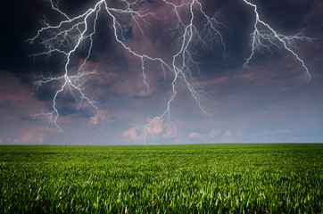 Wall Mural - Thunderstorm with lightning in green meadow