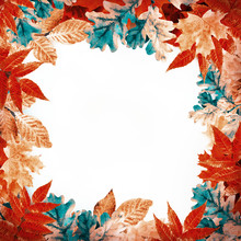 Multi-colored Autumn Leaves With Highlights, Natural Background