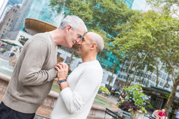 Wall Mural - Gay Couple at Park in New York