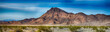 © garytog - Desert Vista