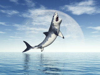 Wall Mural - Great White Shark Jumping