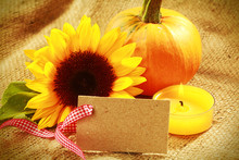 Colorful Thanksgiving Or Autumn Card Design