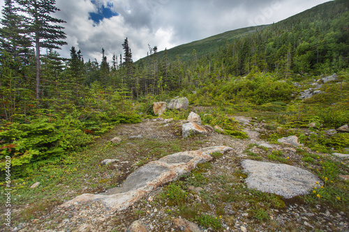 Fotografie, Obraz Rugged alpine terrain at top of Mount Washington NH