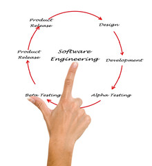 Wall Mural - Software Engineering Lifecycle