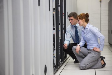 Wall Mural - Team of technicians kneeling and looking at servers