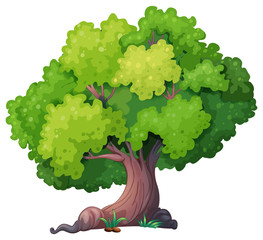 Wall Mural - tree