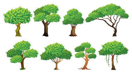 Poster - Tree set