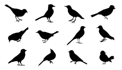 bird2 silhouettes