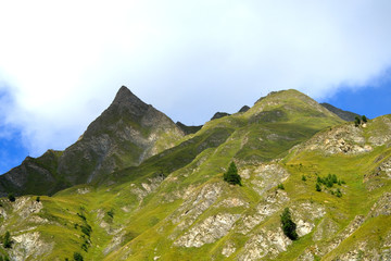 Wall Mural - Samnaungruppe - Alpen