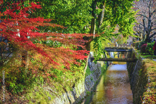 Naklejka samoprzylepna Ścieżka filozoficzna w Kioto, w Japonii