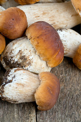 Poster - boletus mushrooms on wooden surface