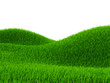 Green hill of grass