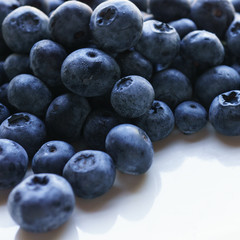 Wall Mural - Blueberries