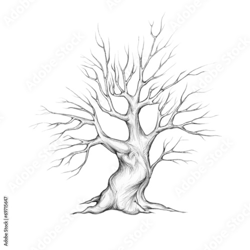 Baum mit Ästen Zeichnen: Kreative Ausmalbilder für Jung und Alt!