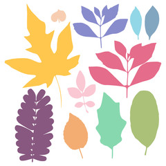 Wall Mural - Colorful leaf set