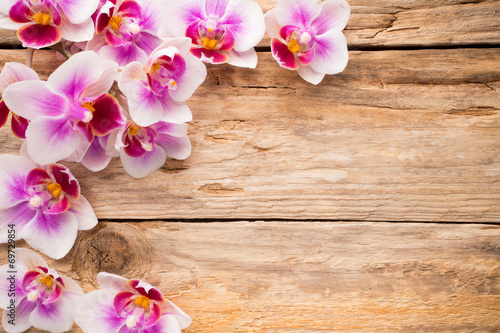 Plakat na papierze fotorealistycznym Orchidea.