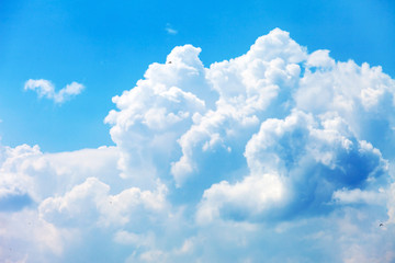 Wall Mural - blue sky with clouds