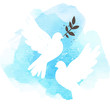 Doves on blue background
