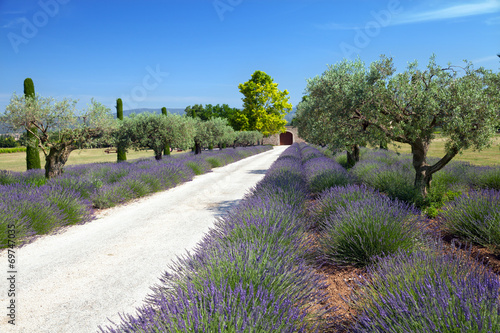 Board z aluminiowym obramowaniem Gruntowa droga do gospodarstwa w provence, francja