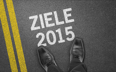 Wall Mural - Ziele 2015