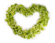 isolated salad in heart shape on white background